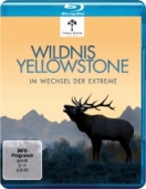 Wildnis Yellowstone - Im Wechsel der Extreme