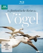 Die fantastische Reise der Vögel 3D