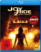 Joy Ride 2