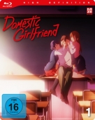 Domestic Girlfriend - Vol. 01