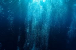 Beyond Blue – Unterwasserwelt mit Indie-Flair